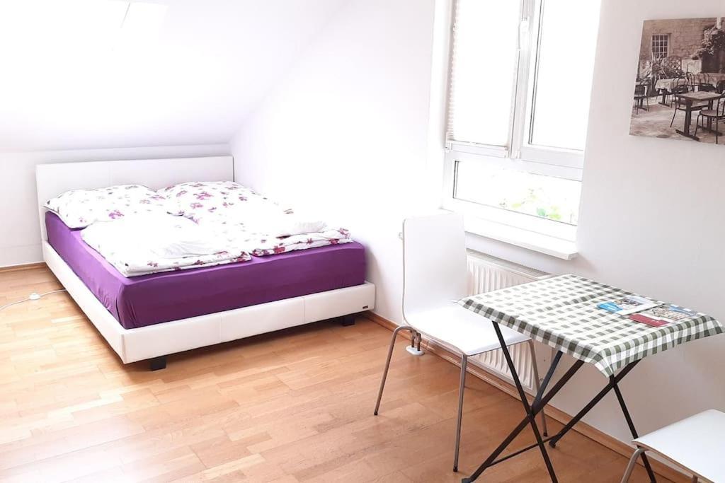 Familienfreundliche Apartments Am Park 뷔르츠부르크 외부 사진