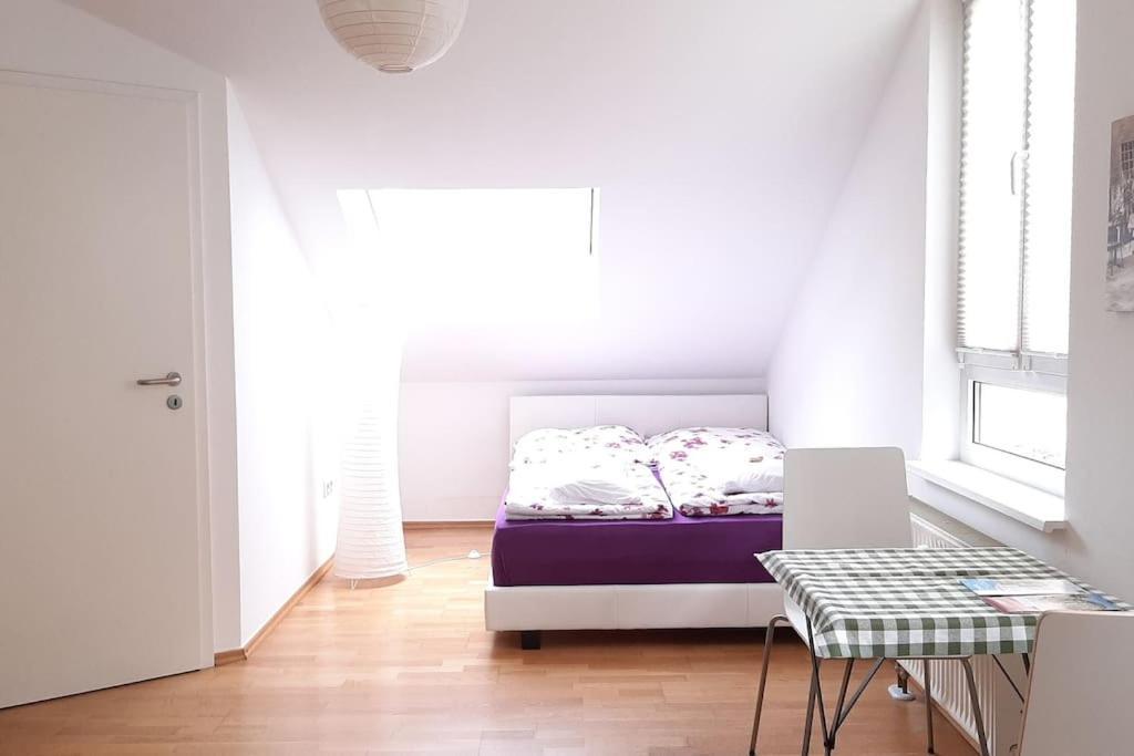 Familienfreundliche Apartments Am Park 뷔르츠부르크 외부 사진